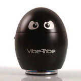Vibe-Tribe Design: Vibration Speaker, MP3 player, slot SD-card, Radio FM e Telecomando Infrarossi
